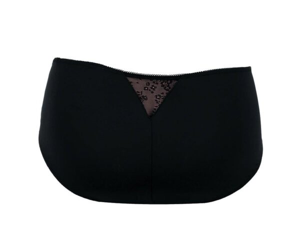 Anita Fleur high waist briefs