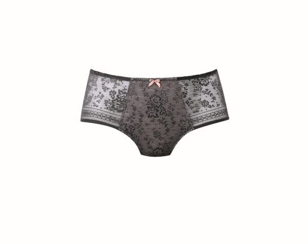 Anita Fleur high waist briefs