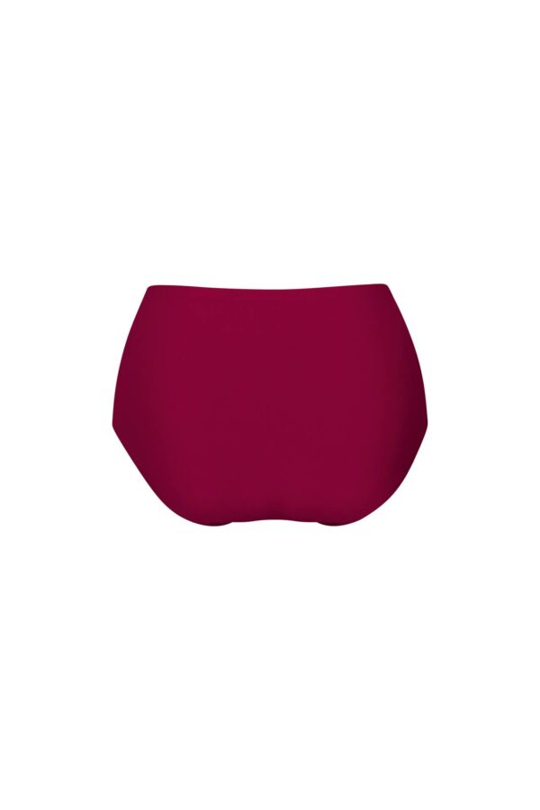 Anita Essentials high-waist briefs+