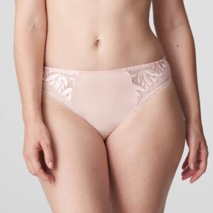 PrimaDonna Orlando rio briefs