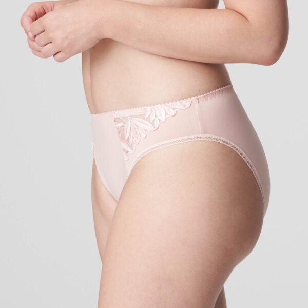 PrimaDonna Orlando rio briefs