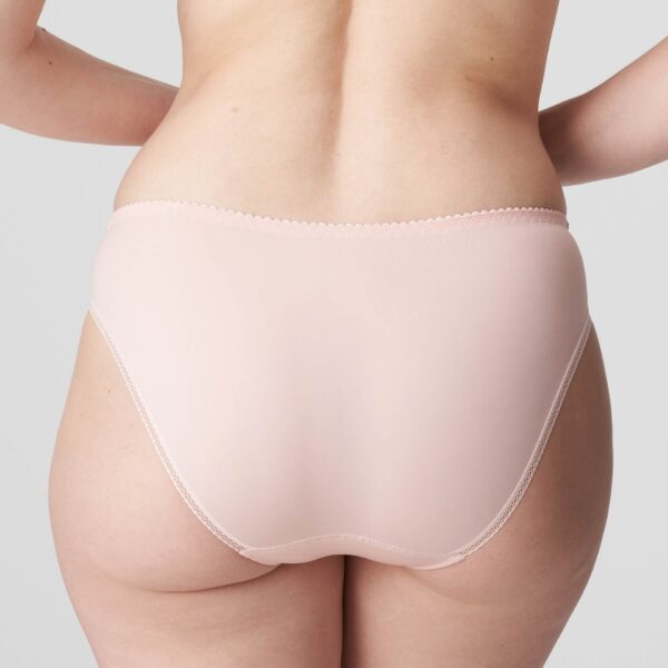 PrimaDonna Orlando rio briefs