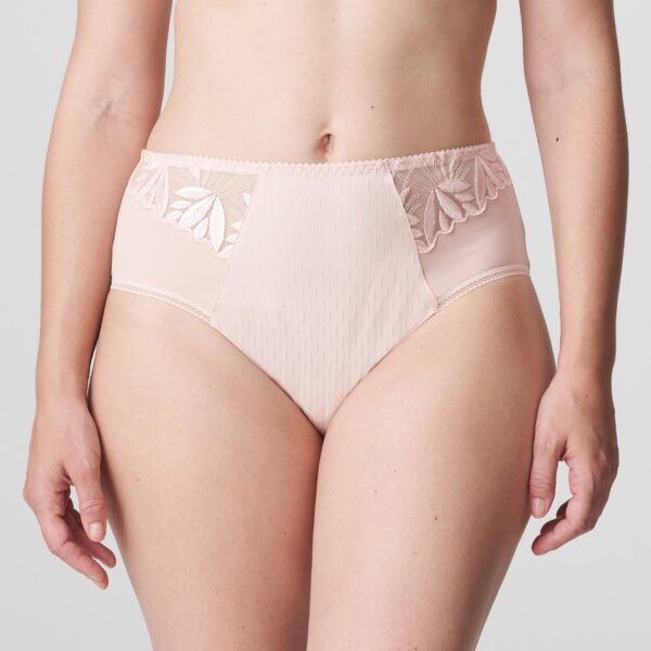 PrimaDonna Orlando full briefs