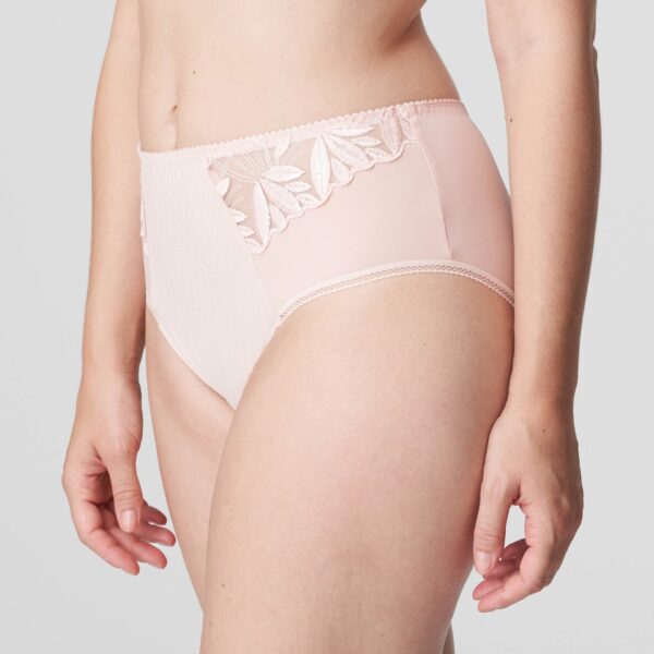 PrimaDonna Orlando full briefs