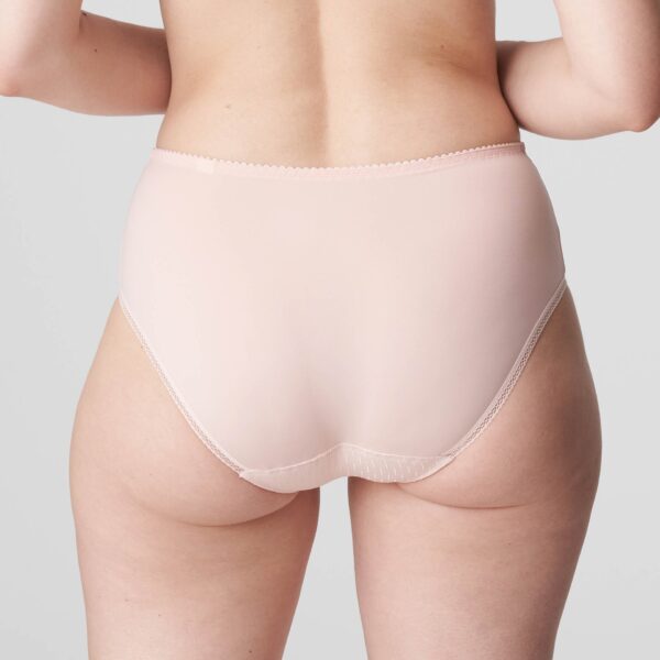 PrimaDonna Orlando full briefs