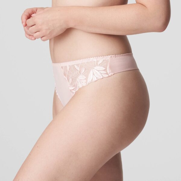 PrimaDonna Orlando thong