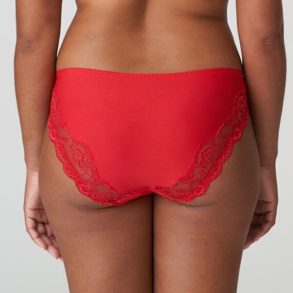 PrimaDonna Madison rio briefs