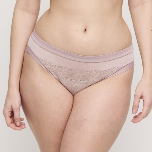 PrimaDonna Sophora rio briefs