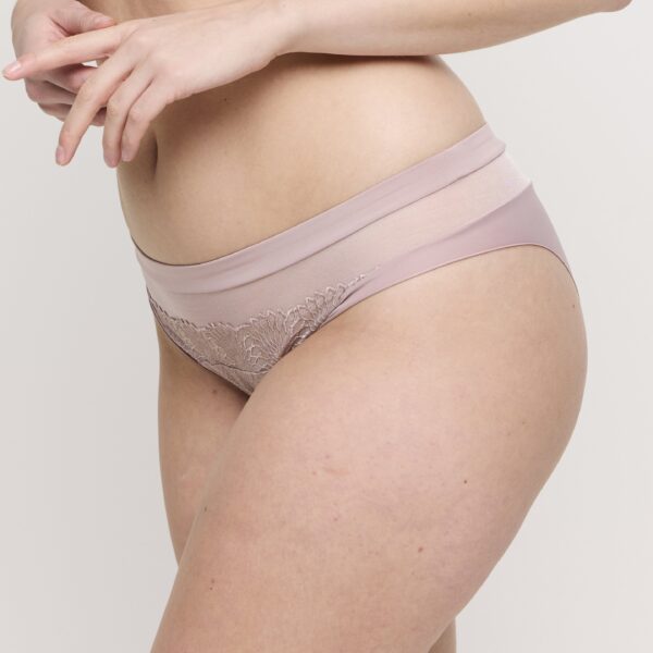 PrimaDonna Sophora rio briefs
