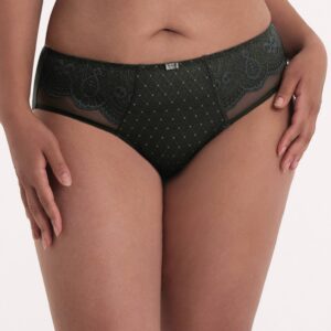 Anita RF Selma high-waist briefs