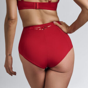Marlies Dekkers Dame de Paris high waist briefs